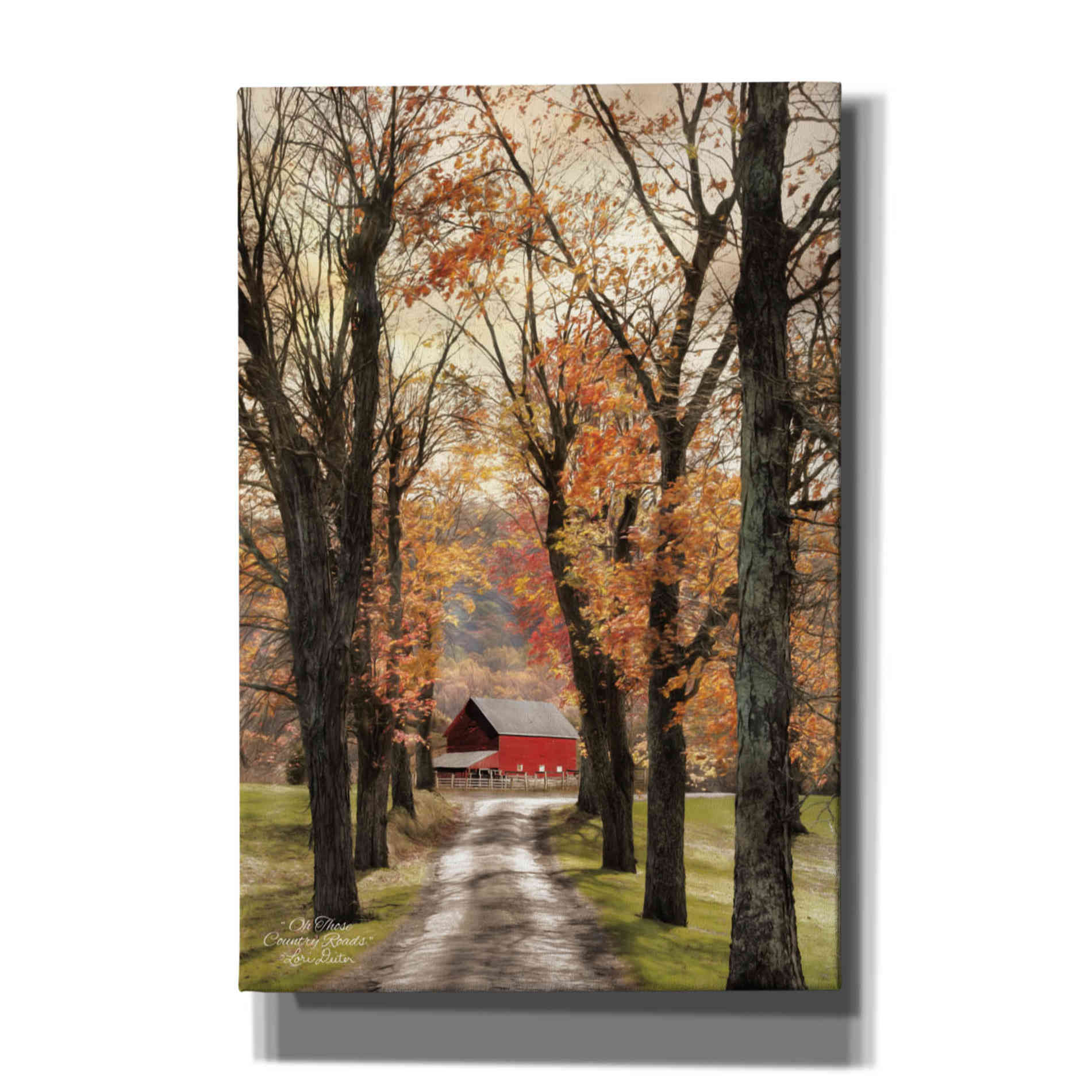 'On Those Country Roads' by Lori Deiter, Canvas Wall Art