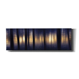 'Edge of the Forest' by Lori Deiter, Canvas Wall Art