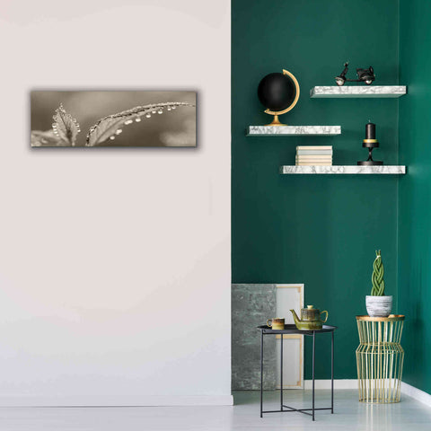 Image of 'Dewey Morning' by Lori Deiter, Canvas Wall Art,36 x 12