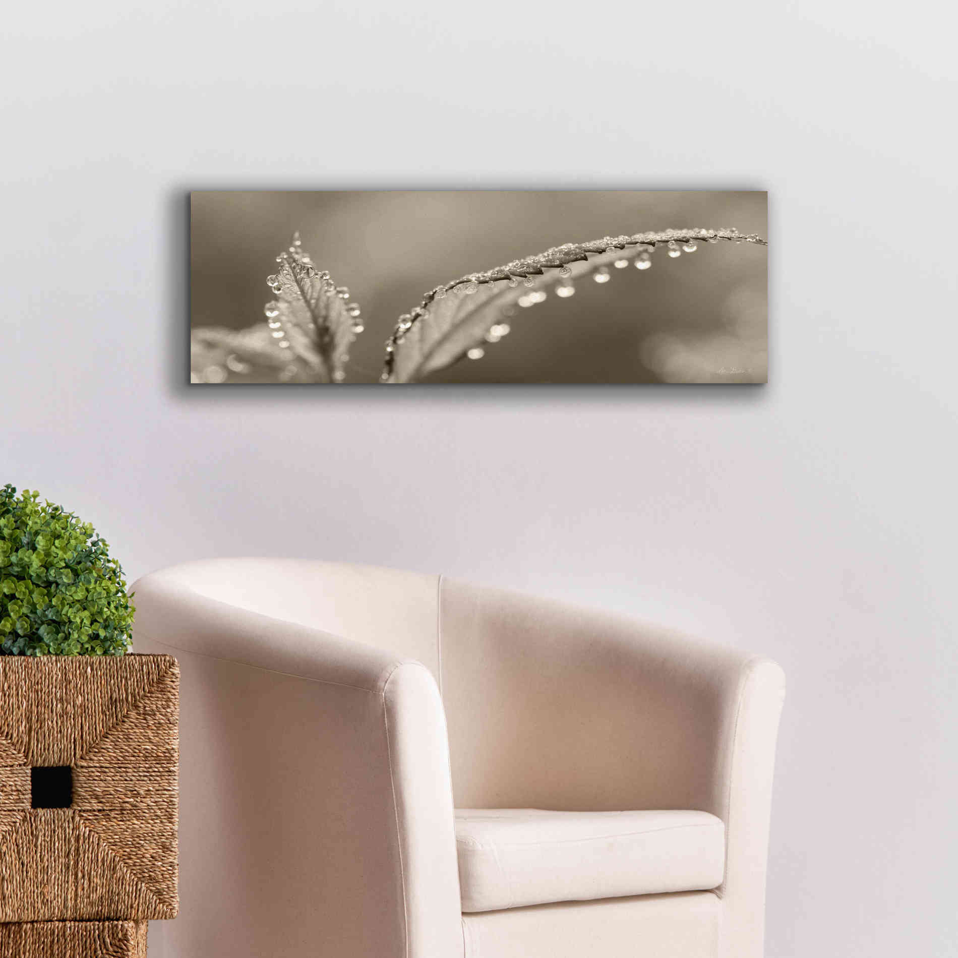 'Dewey Morning' by Lori Deiter, Canvas Wall Art,36 x 12