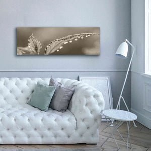 'Dewey Morning' by Lori Deiter, Canvas Wall Art,60 x 20
