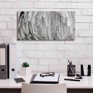 'Silver Feathers' by Lori Deiter, Canvas Wall Art,24 x 12