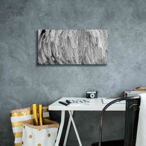 'Silver Feathers' by Lori Deiter, Canvas Wall Art,24 x 12