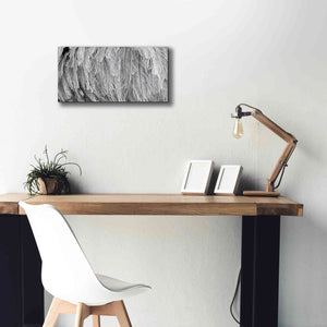 'Silver Feathers' by Lori Deiter, Canvas Wall Art,24 x 12