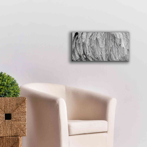 Image of 'Silver Feathers' by Lori Deiter, Canvas Wall Art,24 x 12