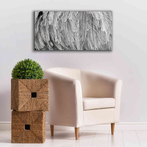 Image of 'Silver Feathers' by Lori Deiter, Canvas Wall Art,40 x 20