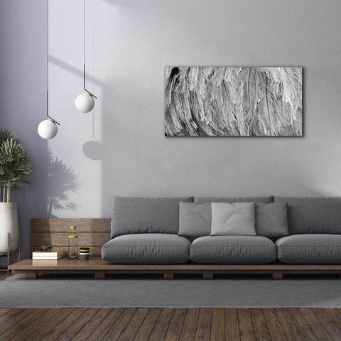 Image of 'Silver Feathers' by Lori Deiter, Canvas Wall Art,60 x 30