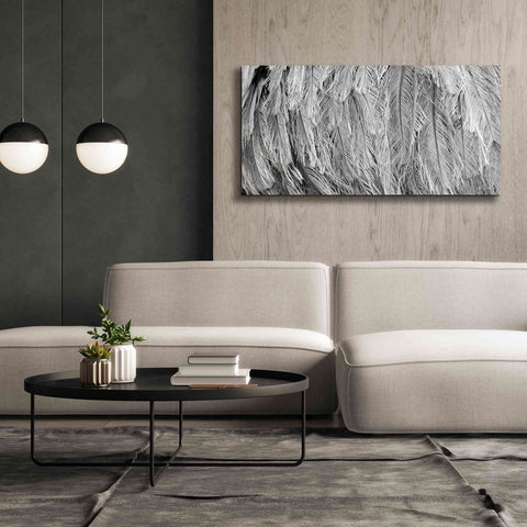 Image of 'Silver Feathers' by Lori Deiter, Canvas Wall Art,60 x 30