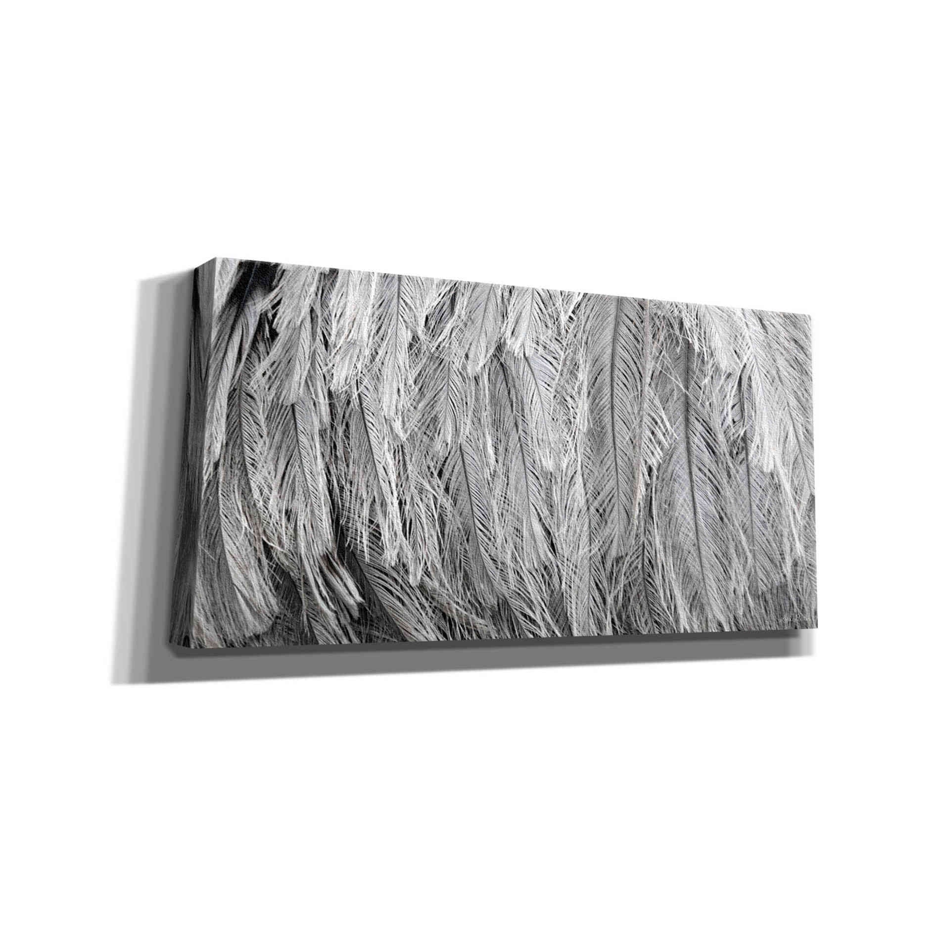 'Silver Feathers' by Lori Deiter, Canvas Wall Art