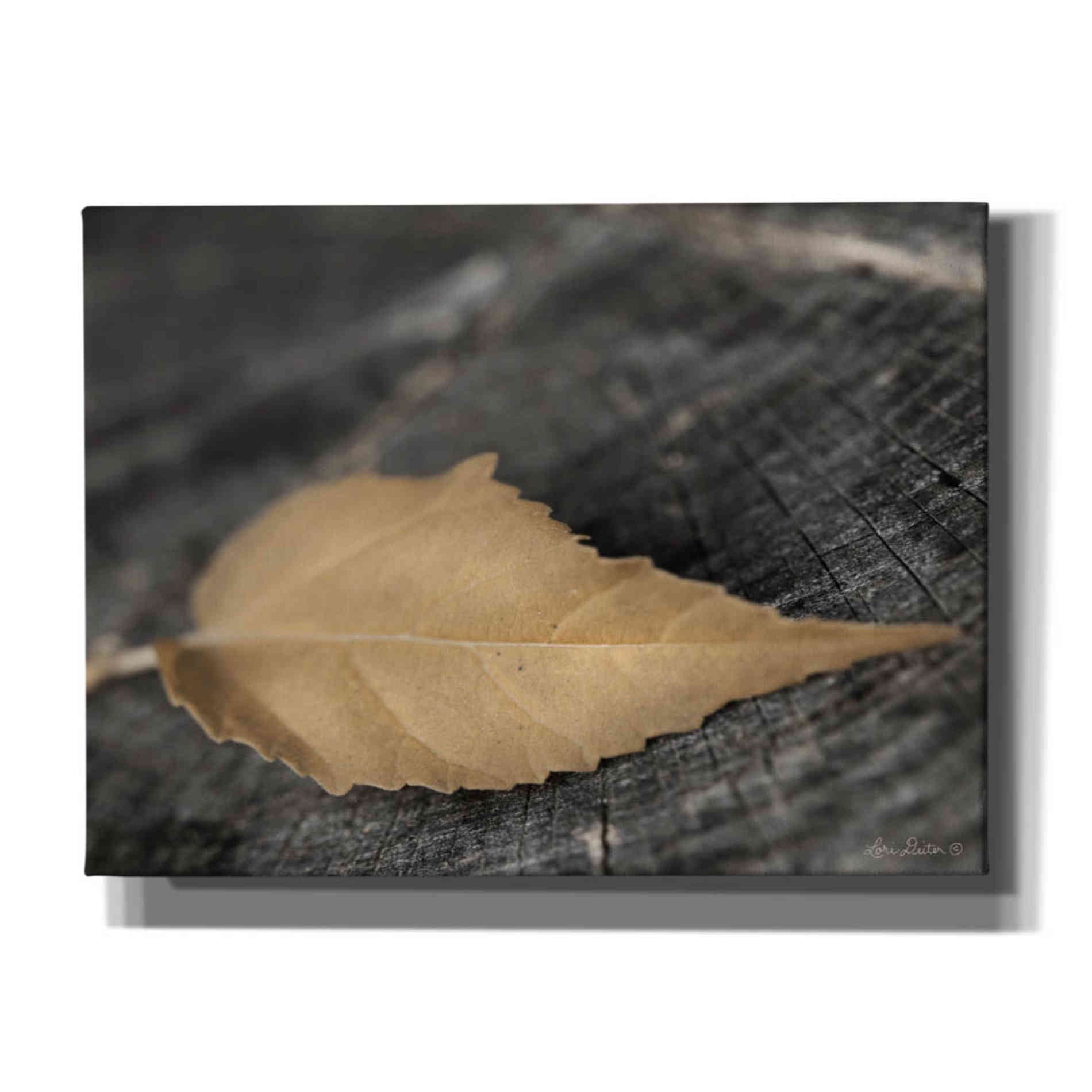 'Natural Gold Leaf' by Lori Deiter, Canvas Wall Art