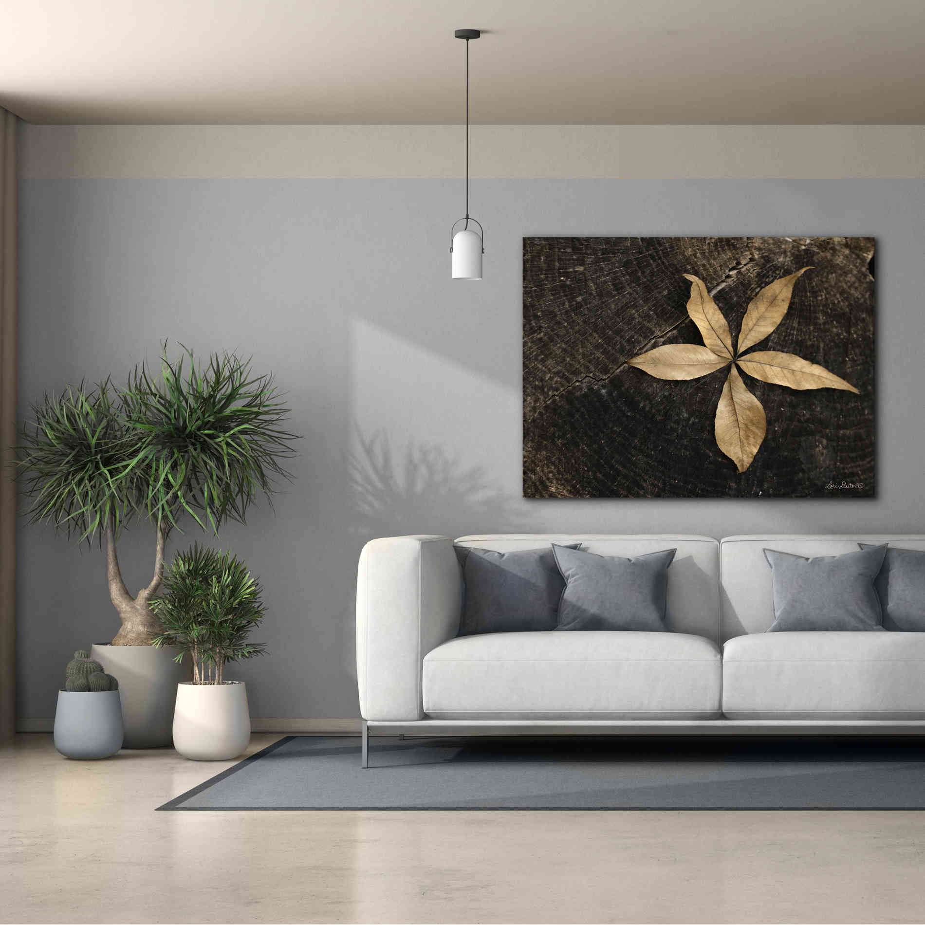 'Natural Buckeye Leaf' by Lori Deiter, Canvas Wall Art,54 x 40