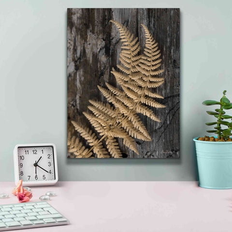 Image of 'Natural Gold Fern' by Lori Deiter, Canvas Wall Art,12 x 16