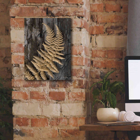 Image of 'Natural Gold Fern' by Lori Deiter, Canvas Wall Art,12 x 16