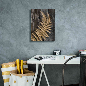 'Natural Gold Fern' by Lori Deiter, Canvas Wall Art,12 x 16