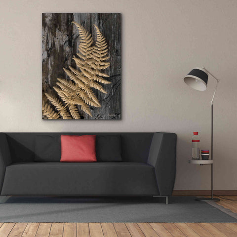Image of 'Natural Gold Fern' by Lori Deiter, Canvas Wall Art,40 x 54