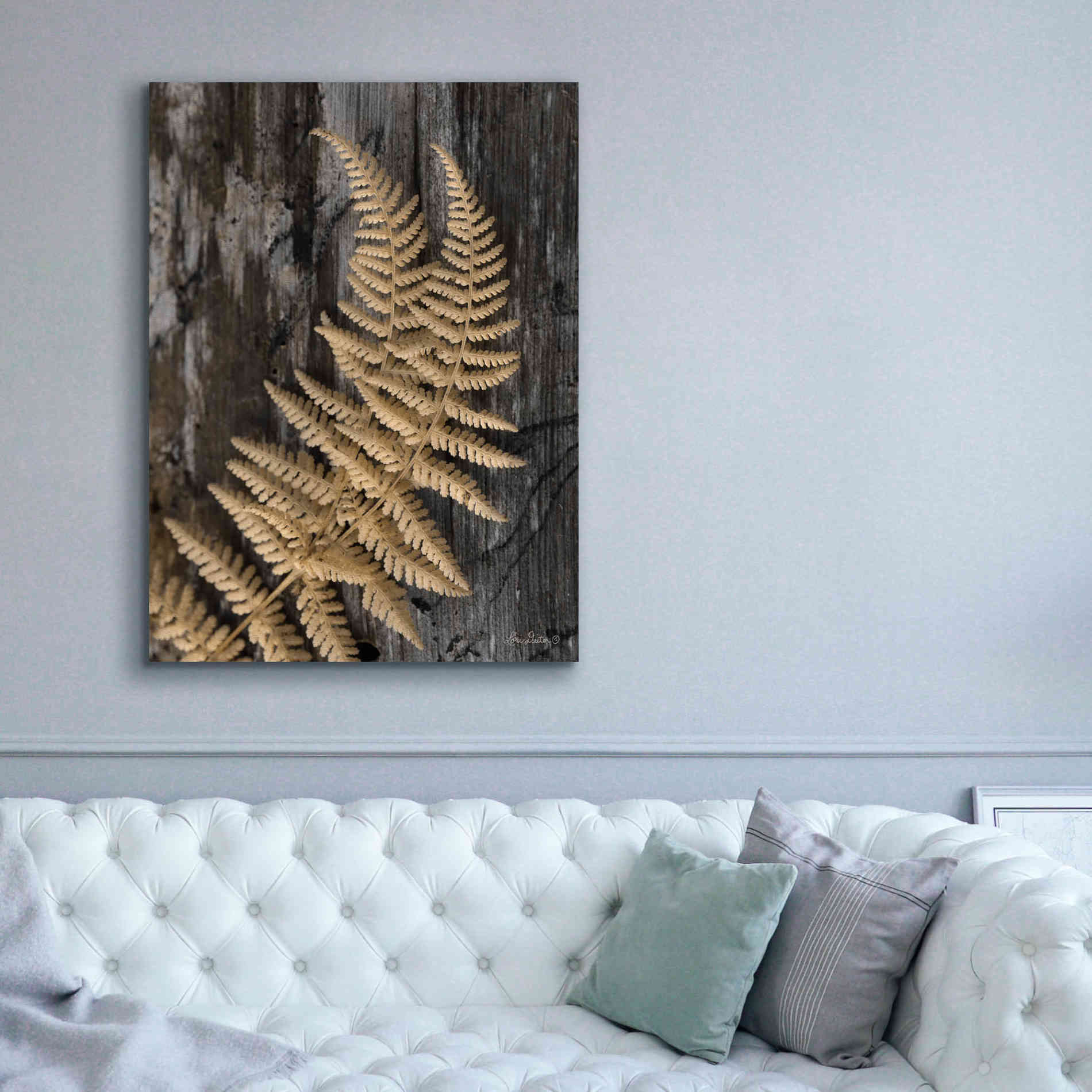 'Natural Gold Fern' by Lori Deiter, Canvas Wall Art,40 x 54