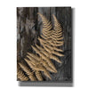 'Natural Gold Fern' by Lori Deiter, Canvas Wall Art
