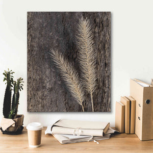 'Natural Wheat' by Lori Deiter, Canvas Wall Art,20 x 24