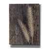 'Natural Wheat' by Lori Deiter, Canvas Wall Art