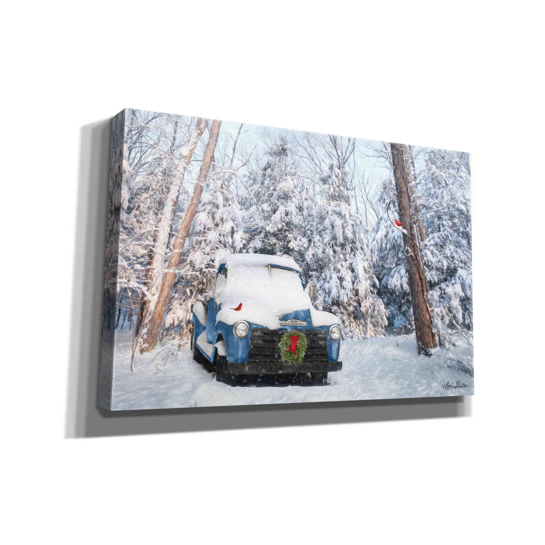 'Winter Storage' by Lori Deiter, Canvas Wall Art