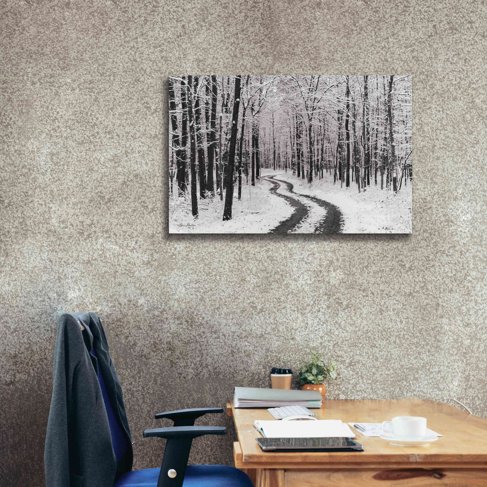 'Snowy Road' by Lori Deiter, Canvas Wall Art,40 x 26