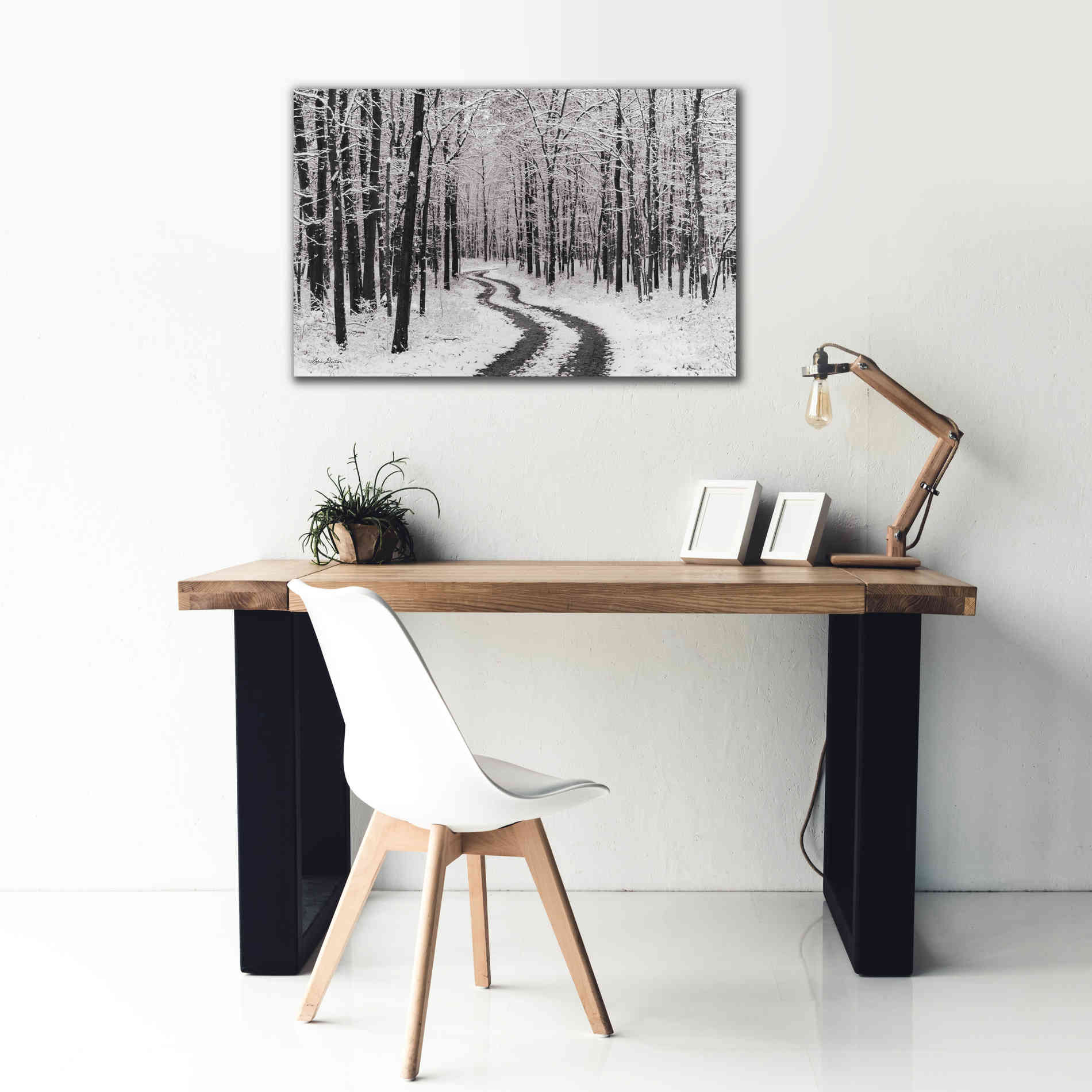 'Snowy Road' by Lori Deiter, Canvas Wall Art,40 x 26