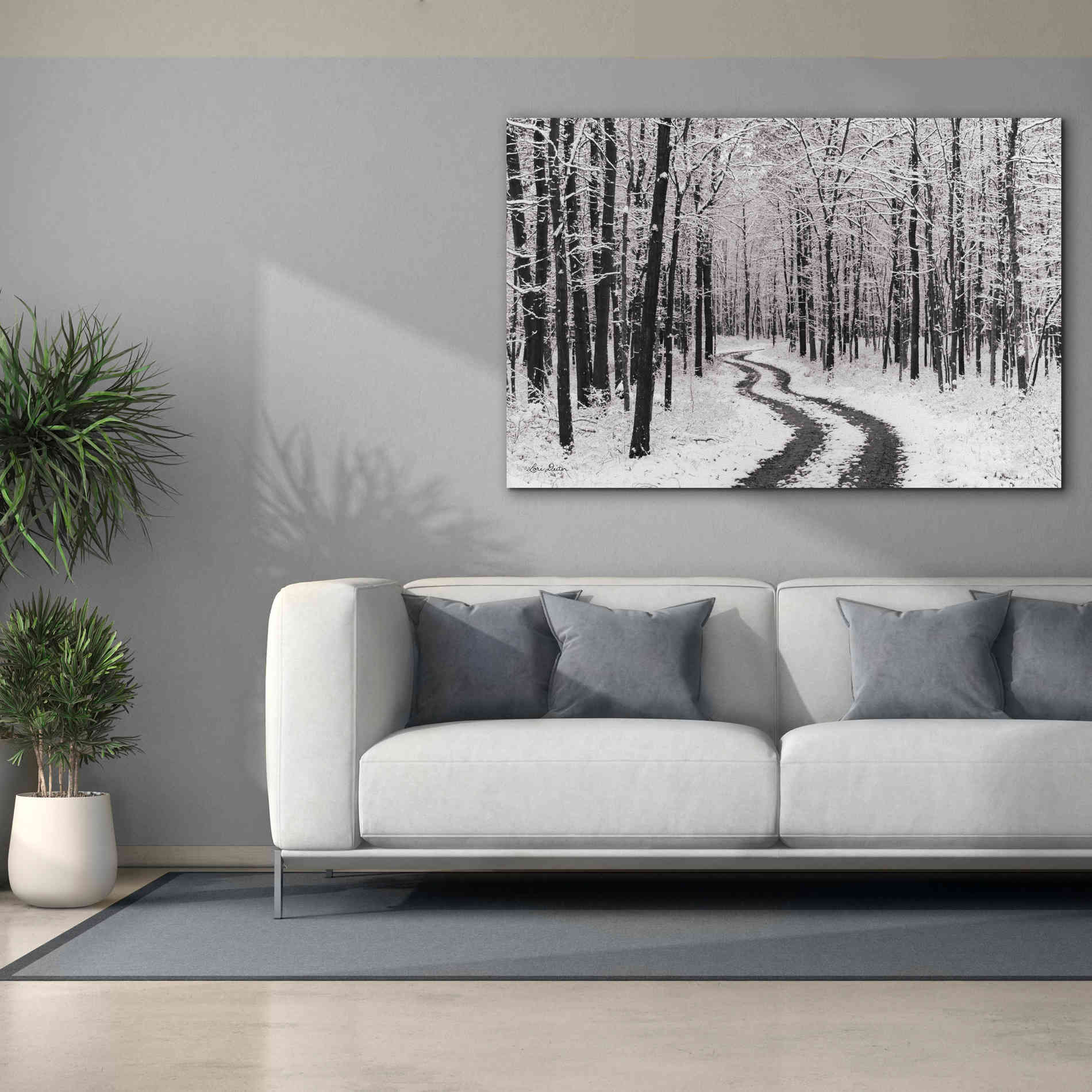 'Snowy Road' by Lori Deiter, Canvas Wall Art,60 x 40