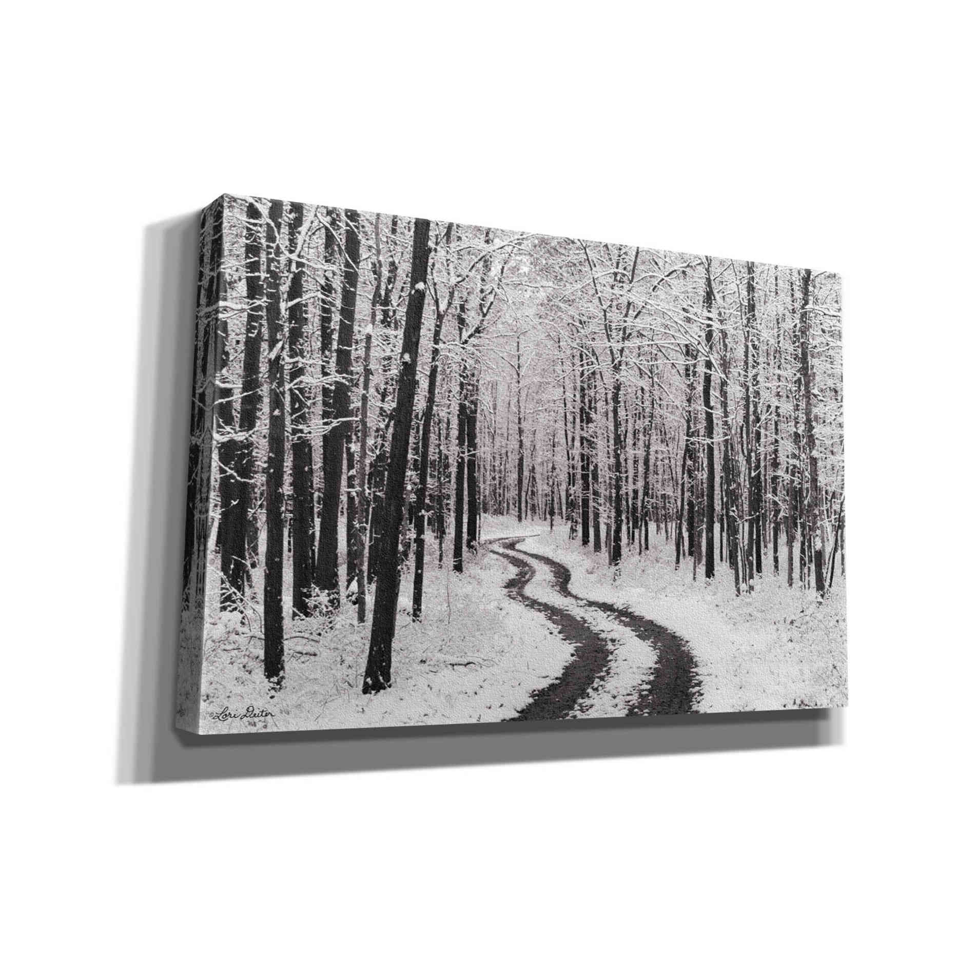 'Snowy Road' by Lori Deiter, Canvas Wall Art
