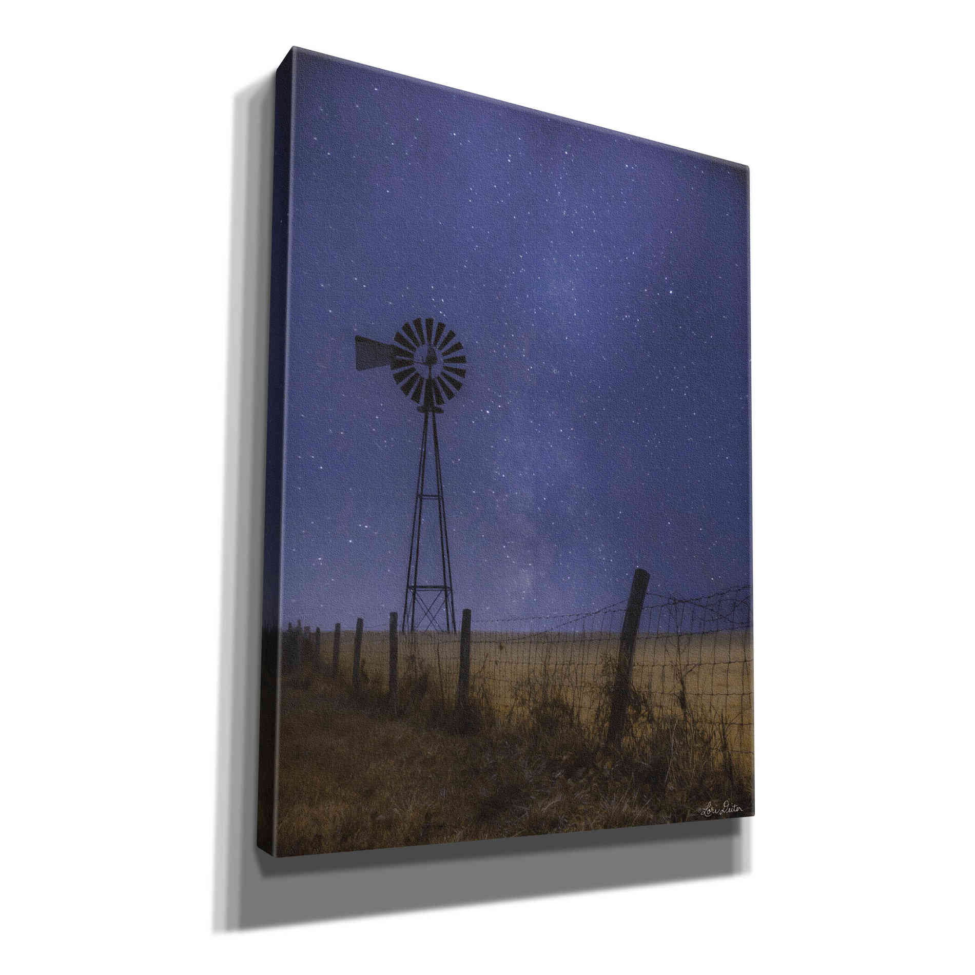 'Starlit Night' by Lori Deiter, Canvas Wall Art