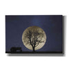 'Full Moon Country Night' by Lori Deiter, Canvas Wall Art