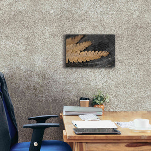 'Gold on Black V' by Lori Deiter, Canvas Wall Art,18 x 12