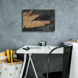 'Gold on Black V' by Lori Deiter, Canvas Wall Art,18 x 12