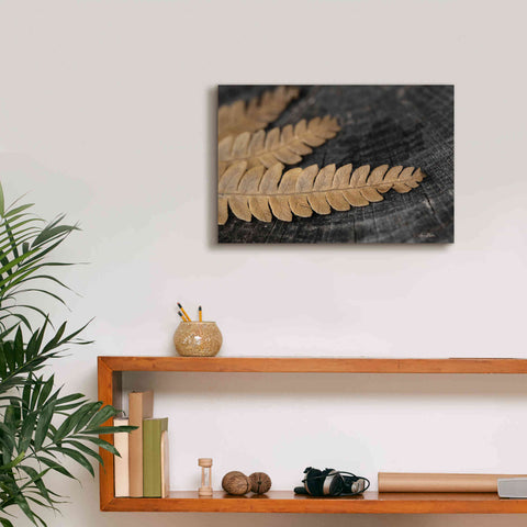 Image of 'Gold on Black V' by Lori Deiter, Canvas Wall Art,18 x 12
