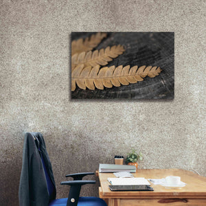 'Gold on Black V' by Lori Deiter, Canvas Wall Art,40 x 26