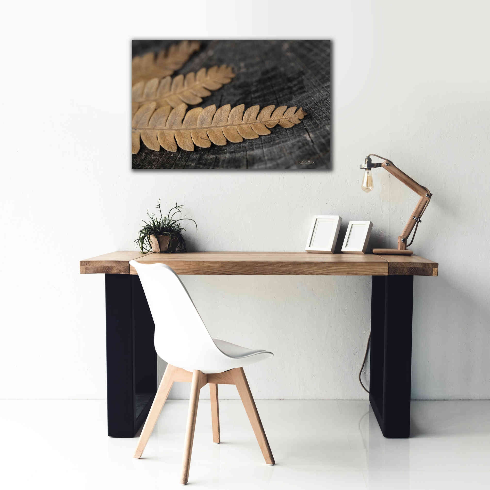 'Gold on Black V' by Lori Deiter, Canvas Wall Art,40 x 26