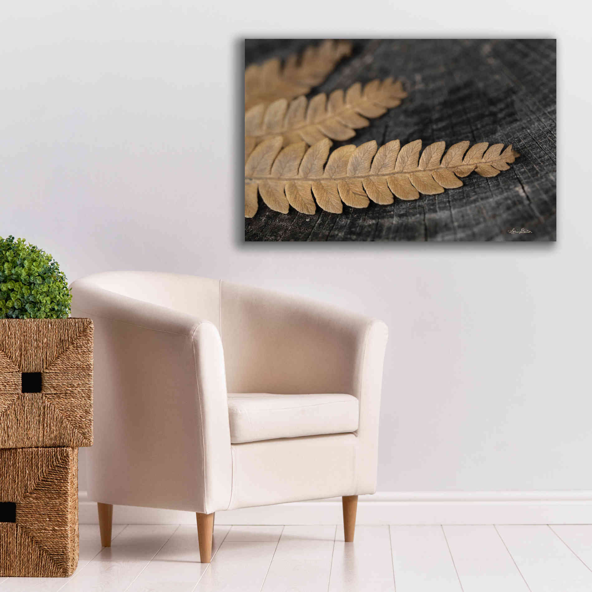 'Gold on Black V' by Lori Deiter, Canvas Wall Art,40 x 26