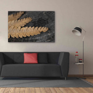 'Gold on Black V' by Lori Deiter, Canvas Wall Art,60 x 40