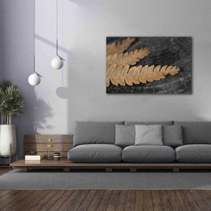 'Gold on Black V' by Lori Deiter, Canvas Wall Art,60 x 40