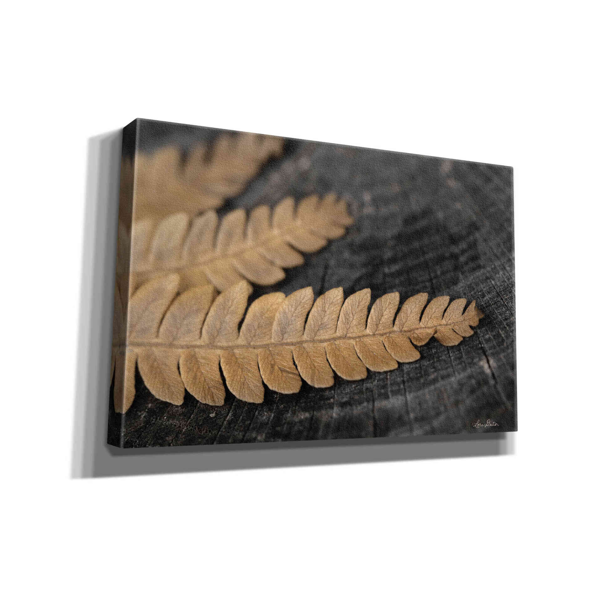 'Gold on Black V' by Lori Deiter, Canvas Wall Art