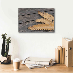 'Gold on Black VI' by Lori Deiter, Canvas Wall Art,18 x 12