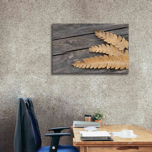 'Gold on Black VI' by Lori Deiter, Canvas Wall Art,40 x 26