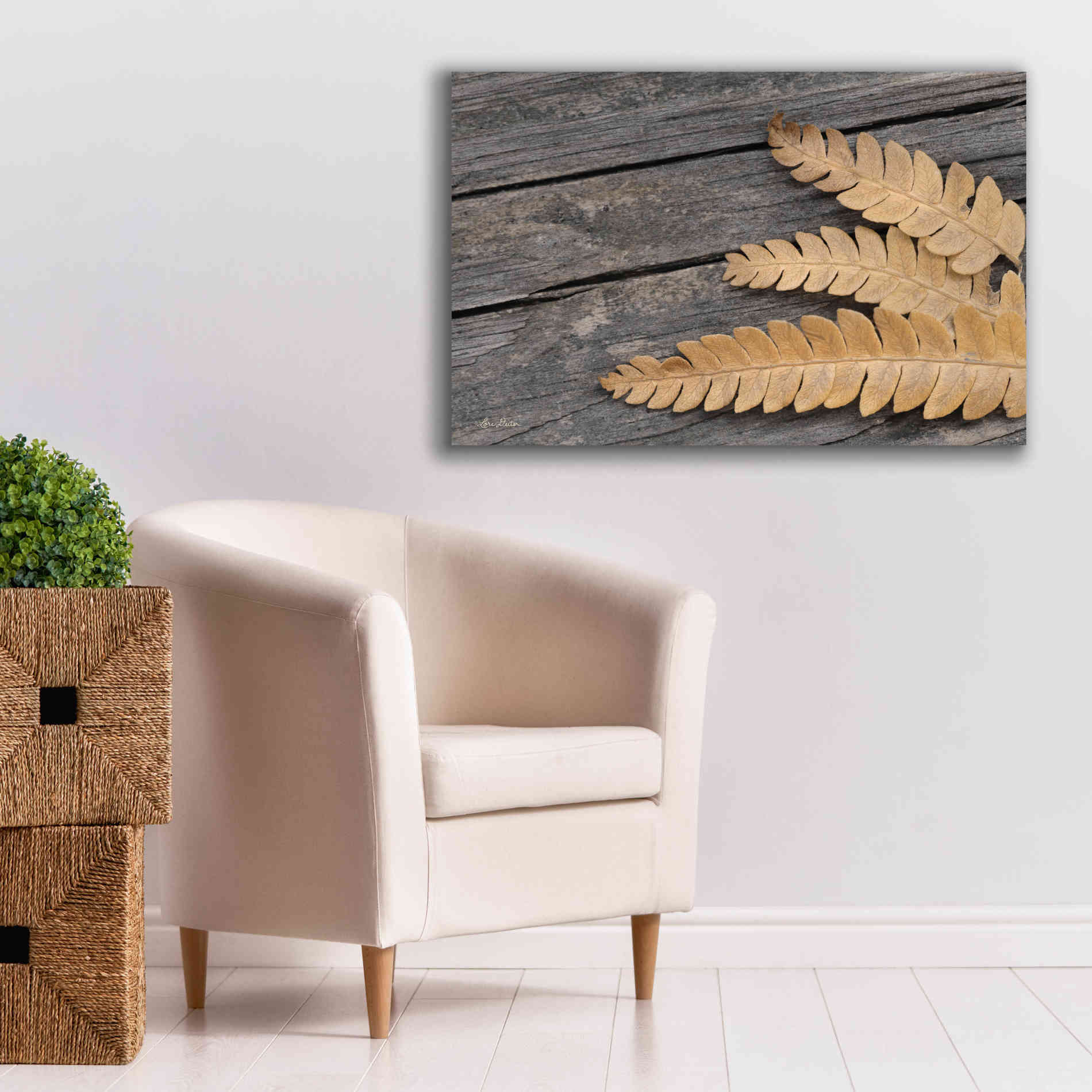 'Gold on Black VI' by Lori Deiter, Canvas Wall Art,40 x 26