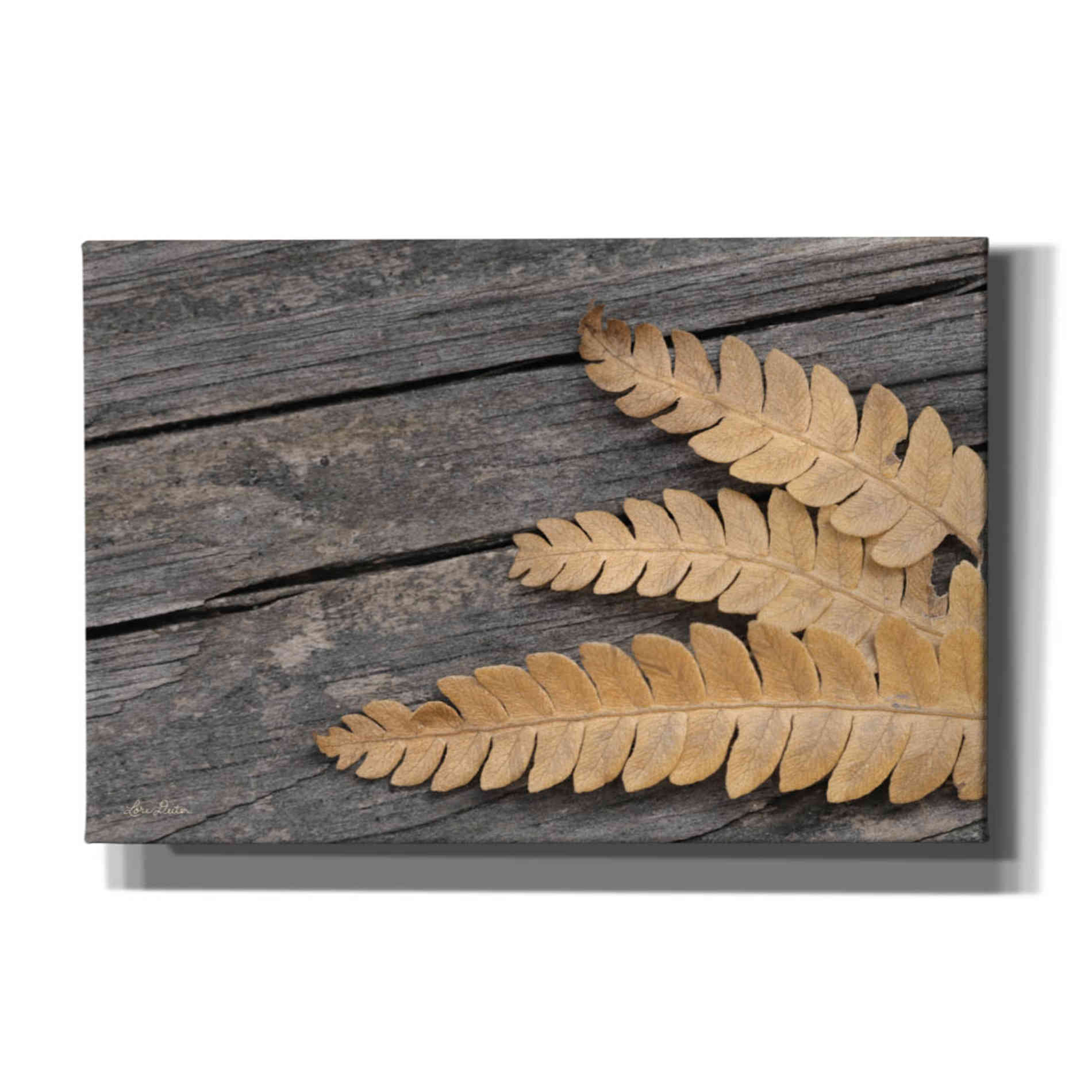 'Gold on Black VI' by Lori Deiter, Canvas Wall Art