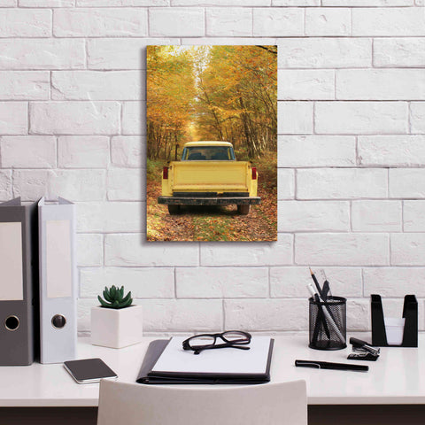 Image of 'The Season of Color' by Lori Deiter, Canvas Wall Art,12 x 18