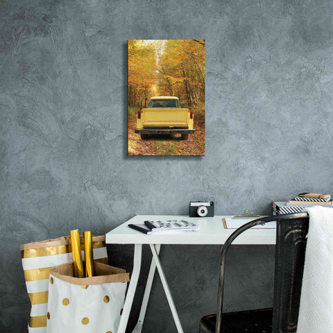 Image of 'The Season of Color' by Lori Deiter, Canvas Wall Art,12 x 18