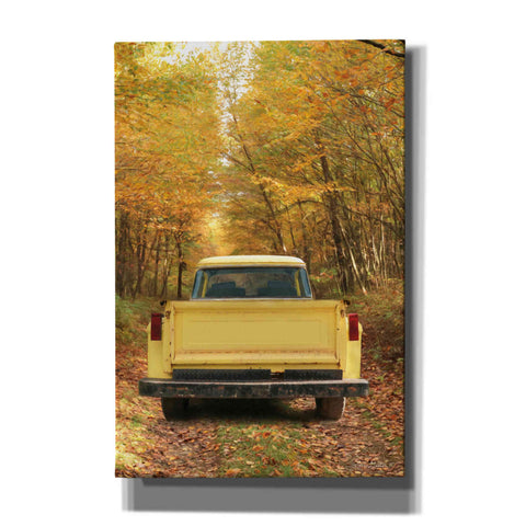 Image of 'The Season of Color' by Lori Deiter, Canvas Wall Art
