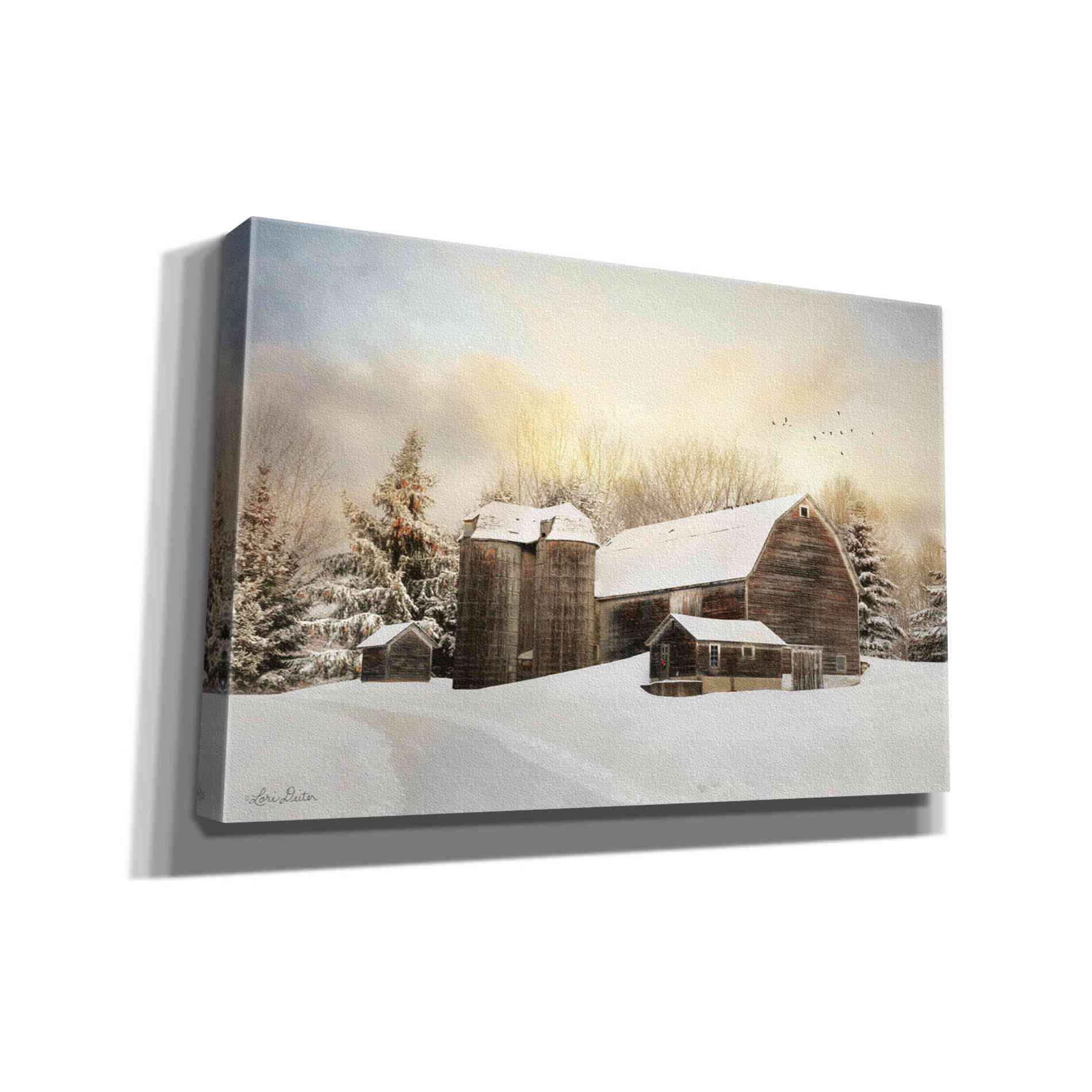 'The Color of Winter' by Lori Deiter, Canvas Wall Art