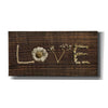 'Love is All You Need' by Lori Deiter, Canvas Wall Art