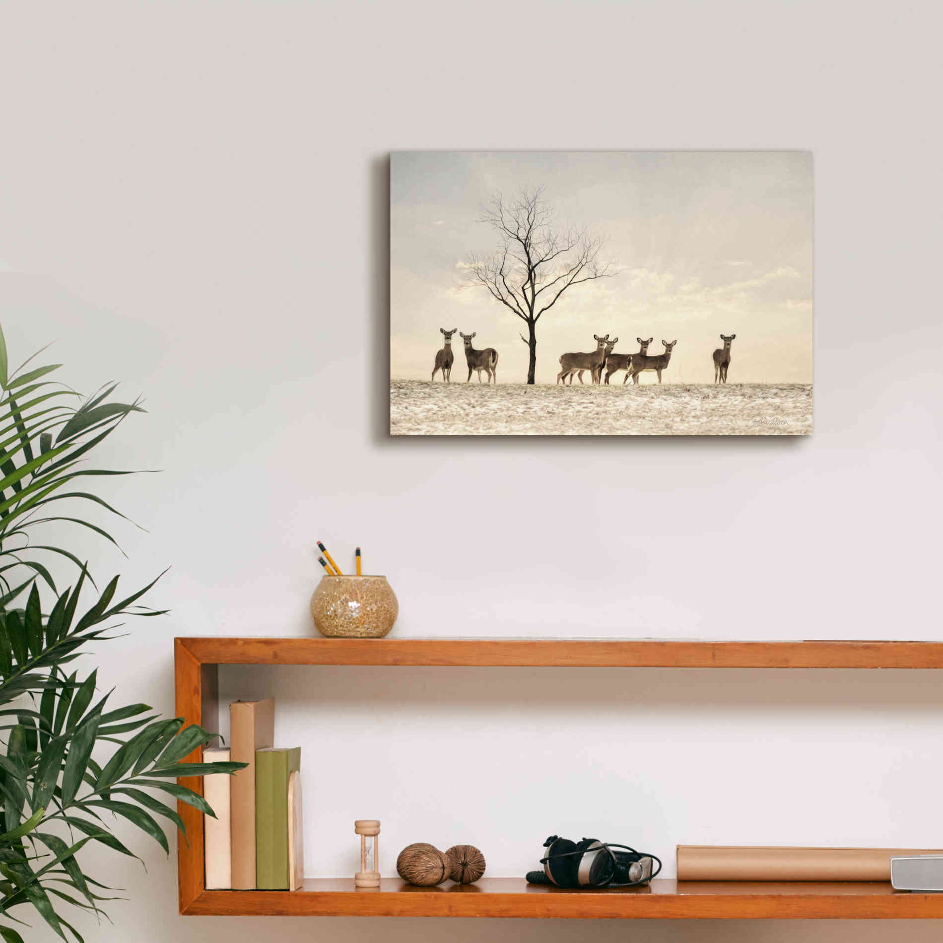 'Doe a Deer' by Lori Deiter, Canvas Wall Art,18 x 12