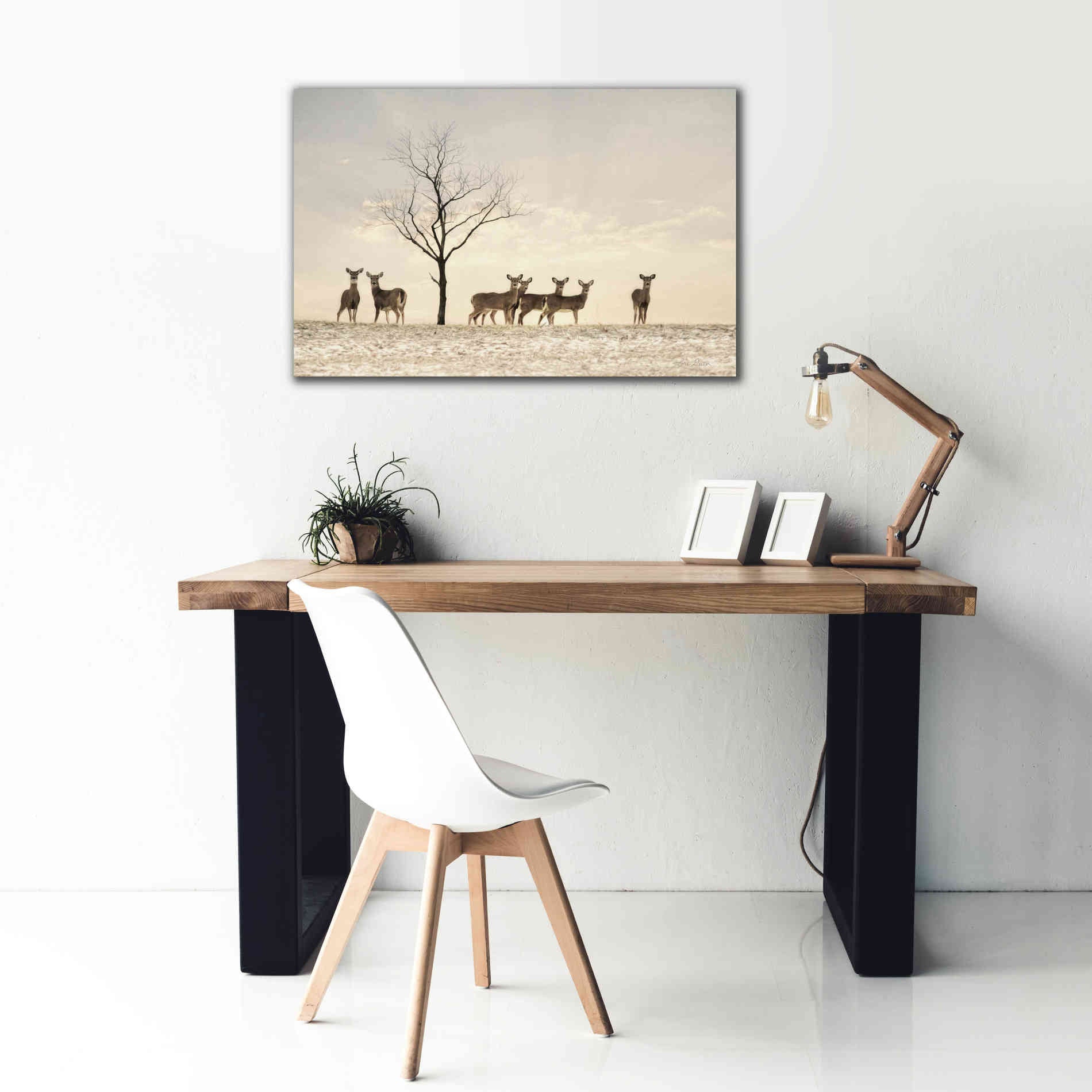 'Doe a Deer' by Lori Deiter, Canvas Wall Art,40 x 26